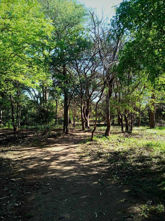 Munga Eco-Lodge Ливингстон Экстерьер фото